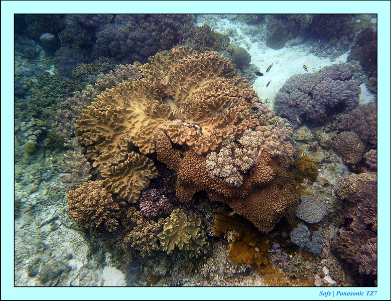 2012 - 07 - Apoh Island 29